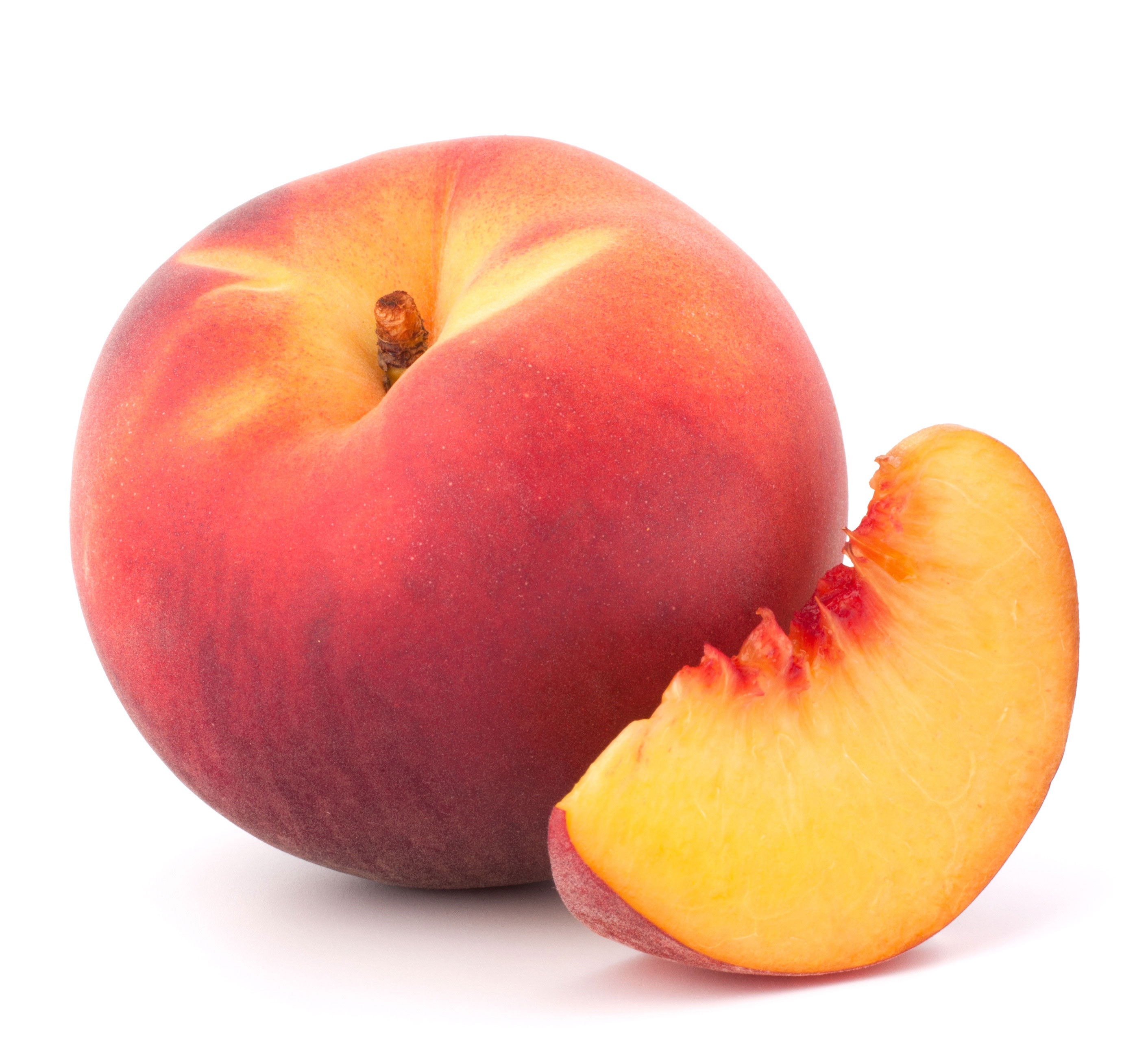 Pêche